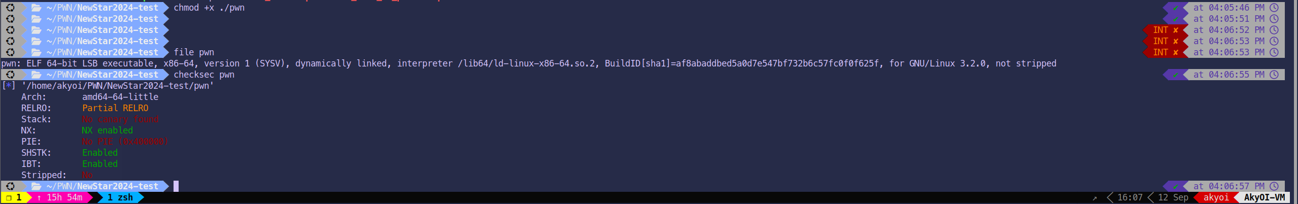 Pwn 文件初步探索